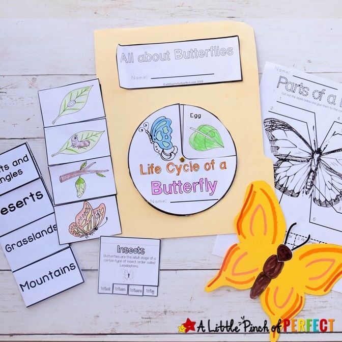 ALL ABOUT BUTTERFLIES UNIT STUDY & LAPBOOK PRINTABLES - Image 2