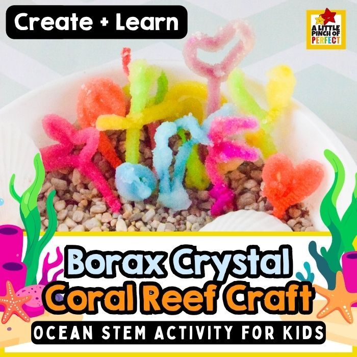 Borax Crystal Coral Reef Craft for Kids (Easy Ocean STEM Activity)