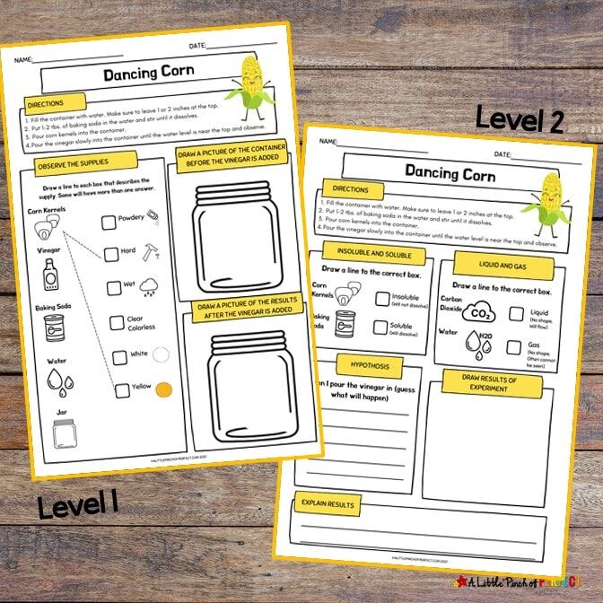 Dancing Corn Kids Science Experiment Lab Worksheets