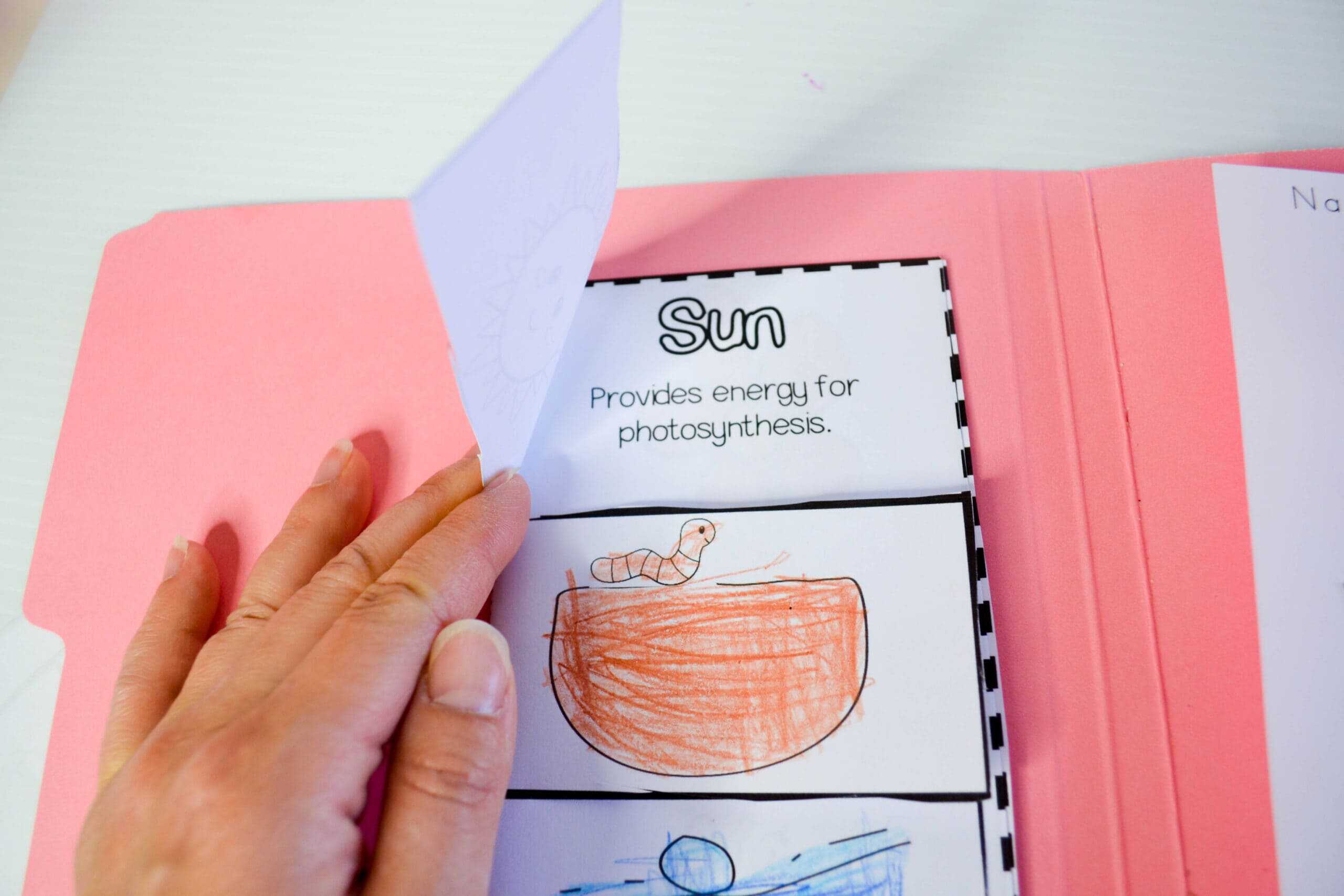 All About Plants Unit Study & Lapbook Printables - Image 5