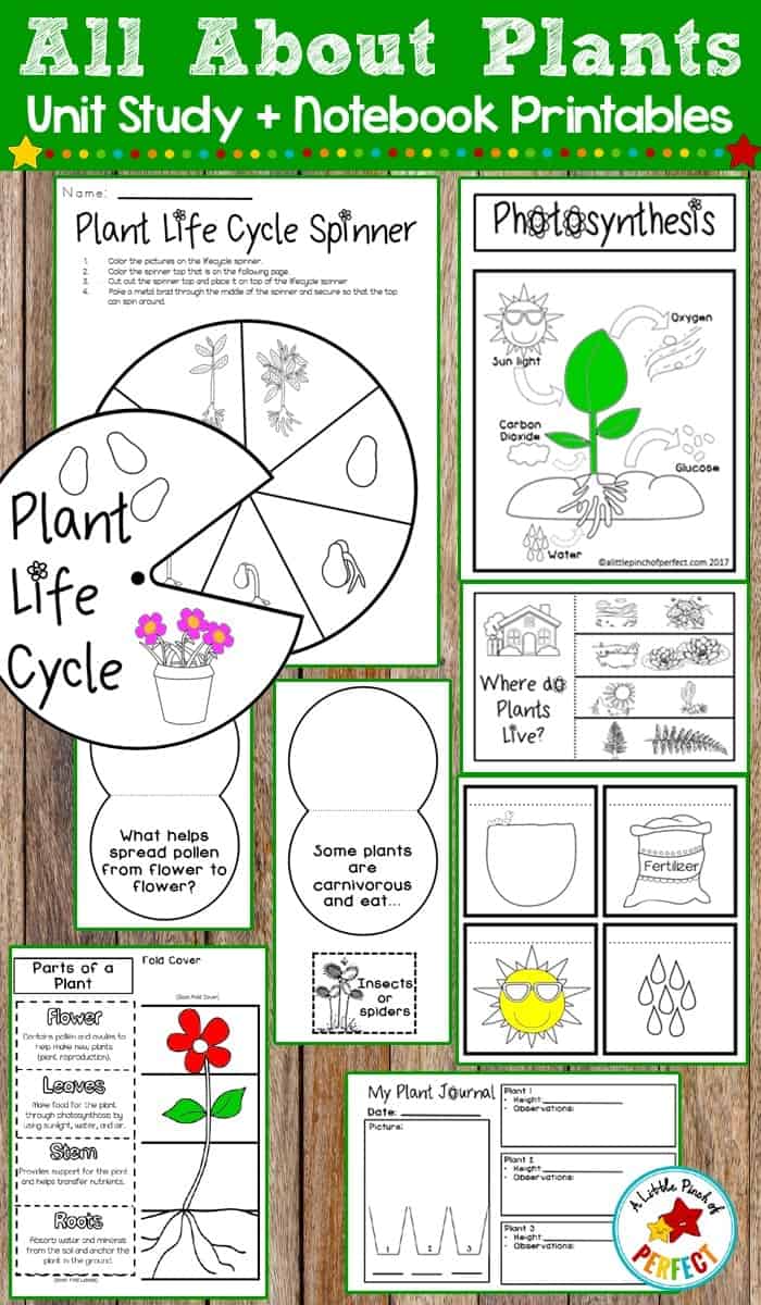 All About Plants Unit Study & Lapbook Printables - Image 3