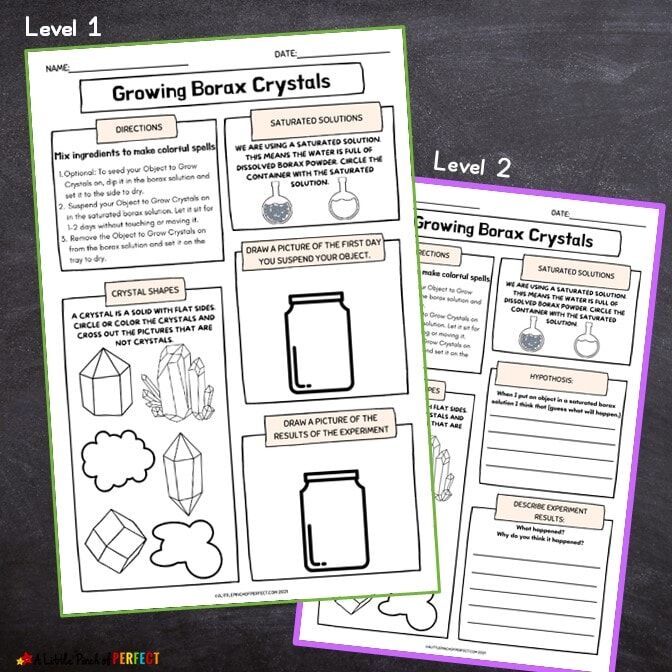 Crystal Borax Science Activity Pack Directions Worksheet